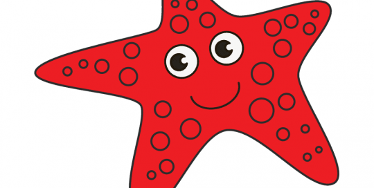 آموزش نقاشی ستاره دریایی