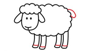 آموزش نقاشی گوسفند 6