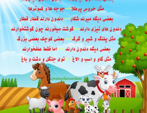 شعر کودکانه غذای حیوانات