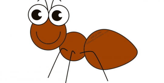 آموزش نقاشی مورچه