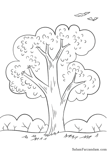نقاشی درخت تابستان برای رنگ امیزی