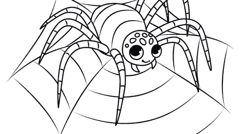 نقاشی عنکبوت برای رنگ آمیزی
