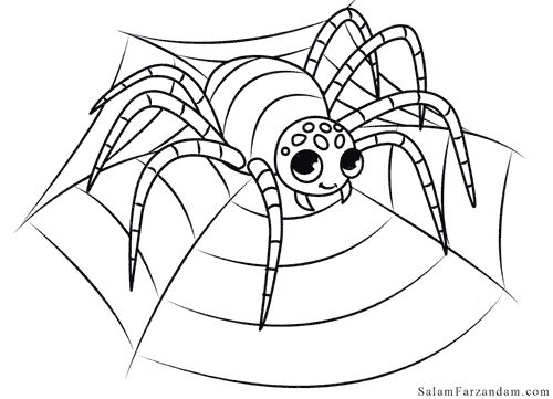 نقاشی عنکبوت برای رنگ آمیزی
