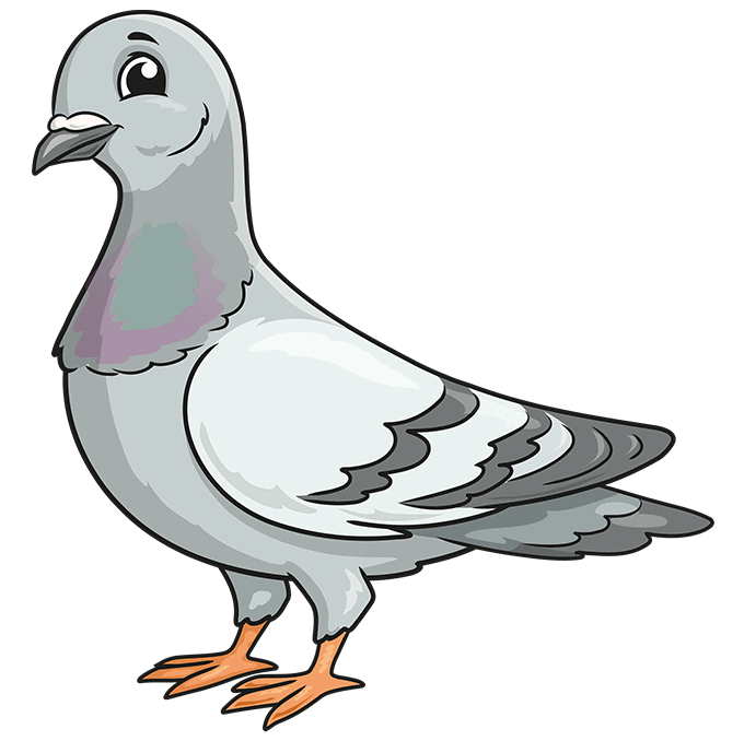 آموزش نقاشی کبوتر