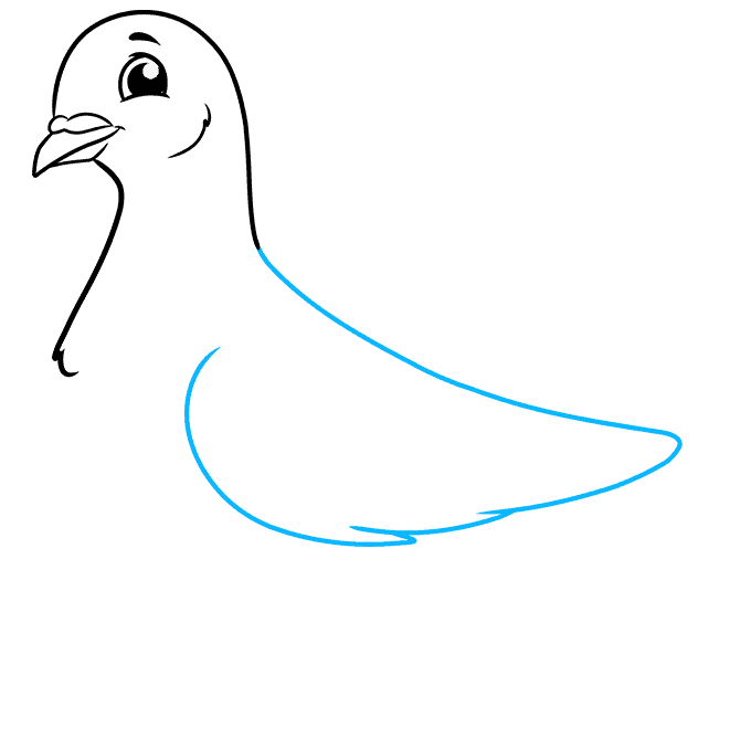 آموزش نقاشی کبوتر مرحله 4