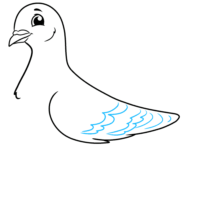 آموزش نقاشی کبوتر مرحله 5