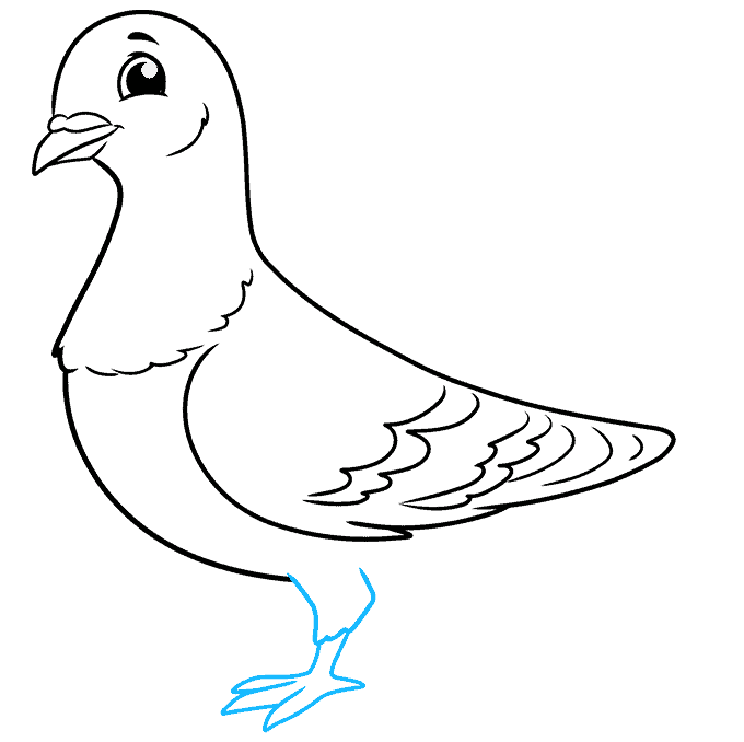 آموزش نقاشی کبوتر مرحله 7