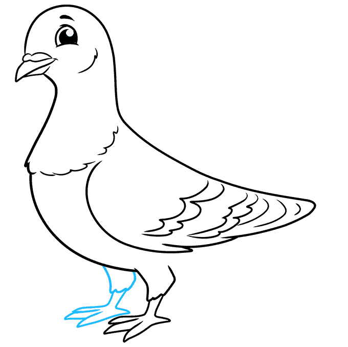 آموزش نقاشی کبوتر مرحله 8