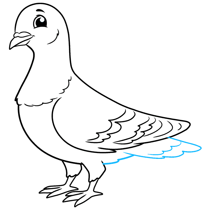 آموزش نقاشی کبوتر مرحله 9