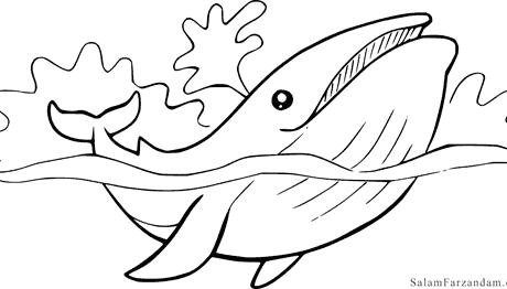 رنگ آمیزی نهنگ