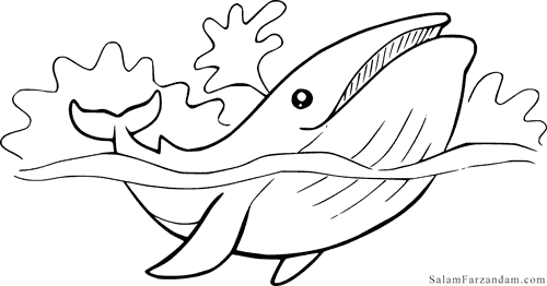 رنگ آمیزی نهنگ