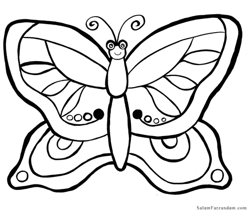 نقاشی پروانه برای رنگ آمیزی